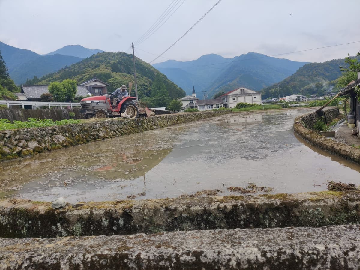 大歩危楽岩とこぶ祗楽岩